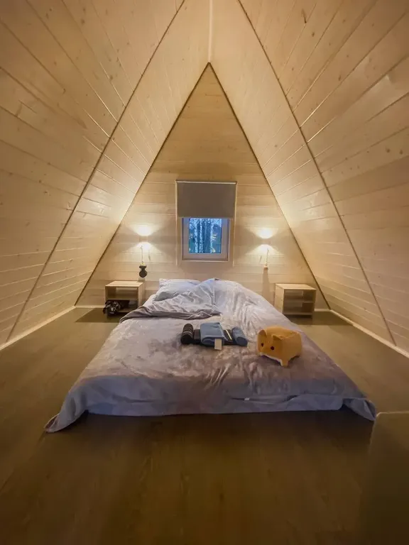 Красивый дом с видом на лес