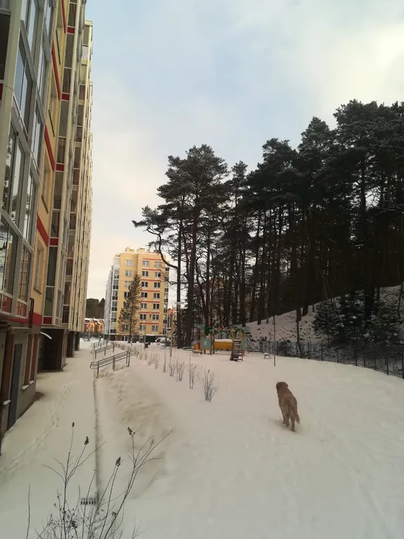 Квартира Уютная новая квартира у озера — Светлогорск