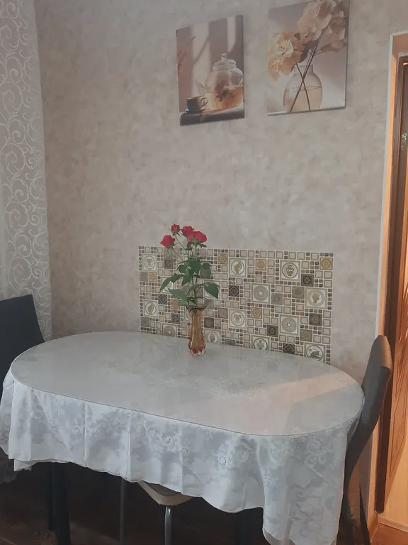 Однокомнатная квартира в самом центре с развитой инфраструктурой