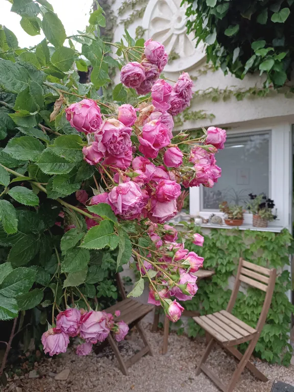 Коттедж Уютная студия в частном доме — Севастополь