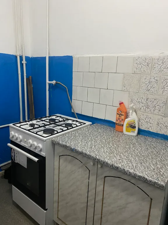 Маленькая студия рядом с лесом