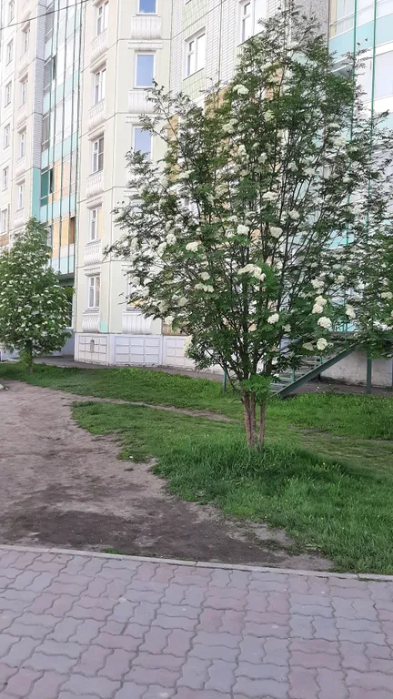 Квартира Квартира в зелёной роще — Красноярск