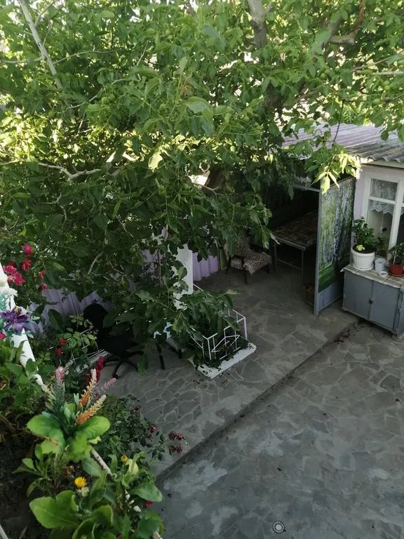 Отдых без посторонних глаз в отдельном дворике