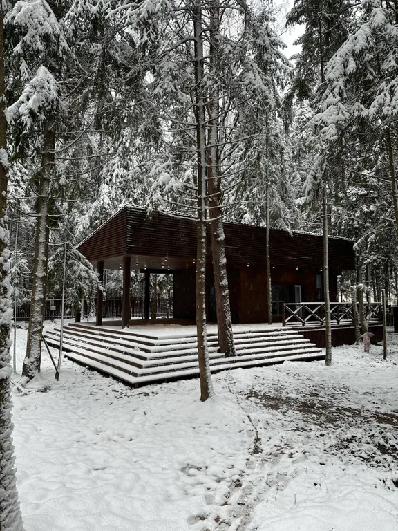 Уютный дом с баней в лесу