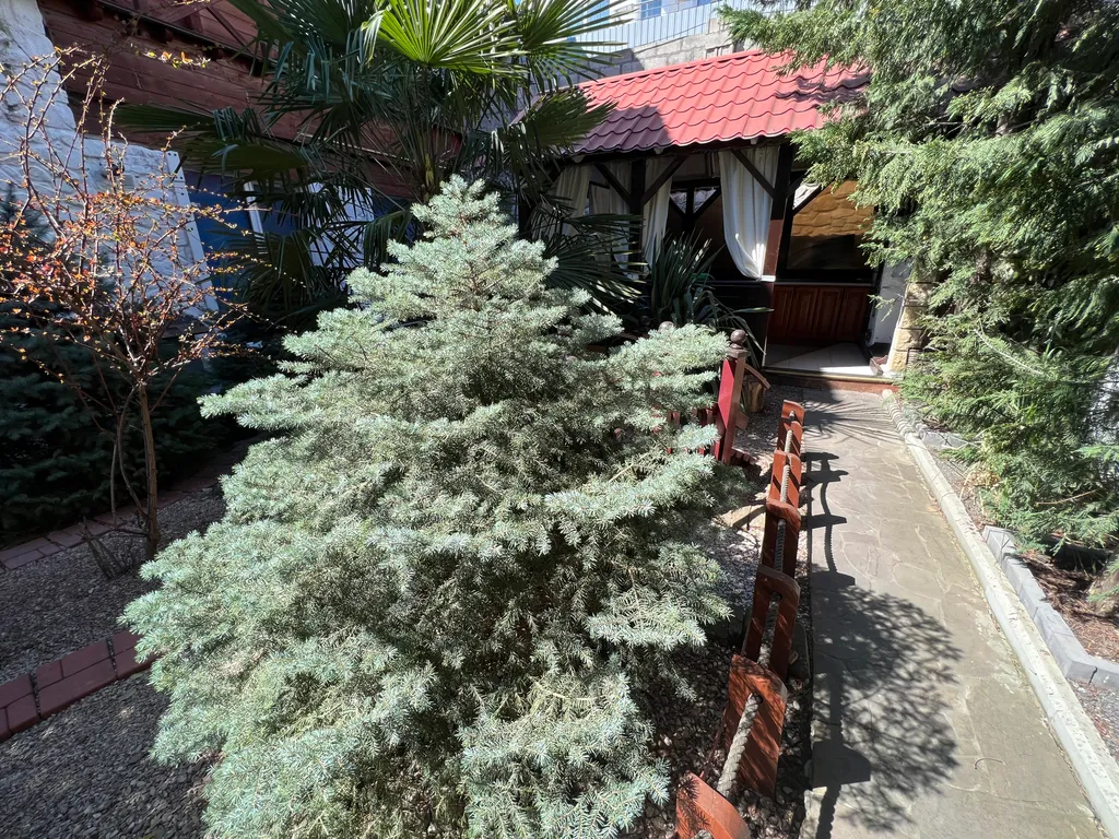 Дом с сауной и большой ванной на террасе