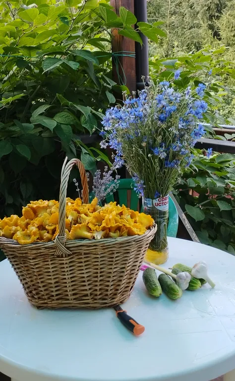 Уютная квартира в 5 минутах ходьбы от озера Сапшо