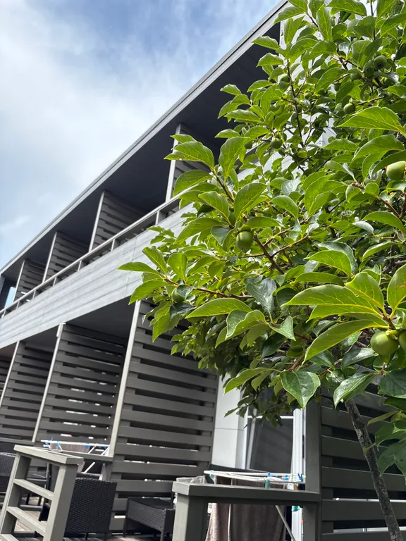 Квартира Делюкс комната с удобствами в лучшем районе Сириуса — Сириус