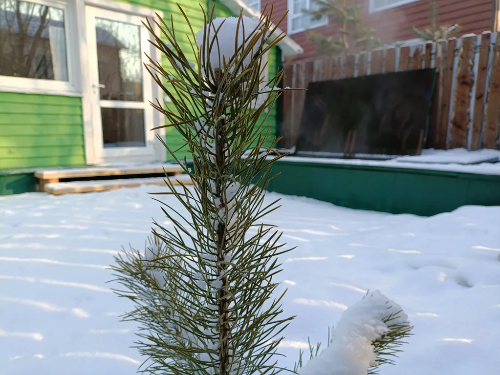 Медовый дом с баней и теплой купелью