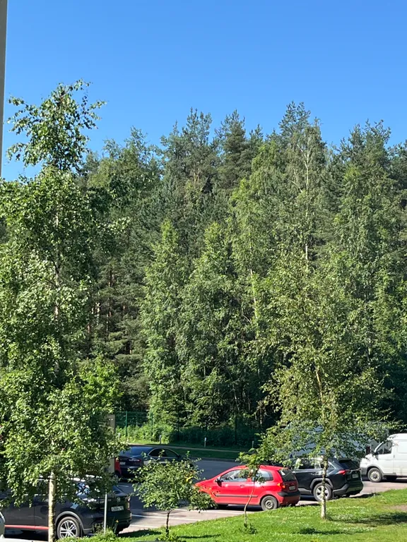 Большая квартира с зонированием и с видом на лес