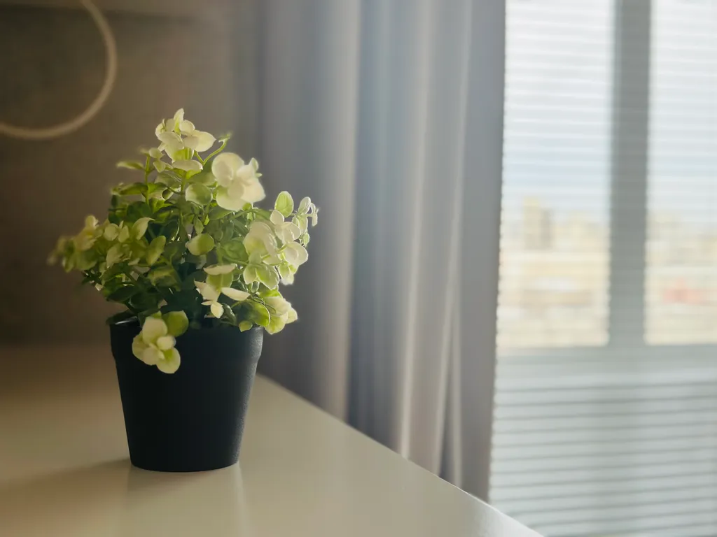 Квартира Квартира в центре города — Хабаровск