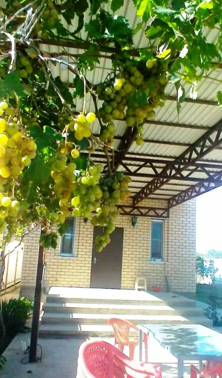 Коттедж Дом у моря — Кучугуры