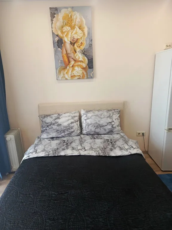 Уютная студия в районе аэропорта