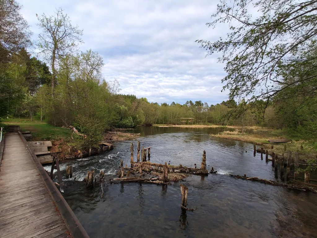 Дом в окружении леса, озёр и рек, около турбазы Алоль