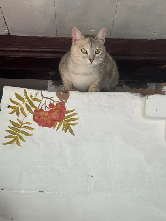 Избовье Добрыня - изба с русской печью