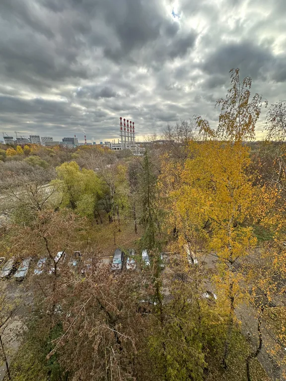 Квартира Квартира Три раздельные комнаты, новый ремонт — Москва