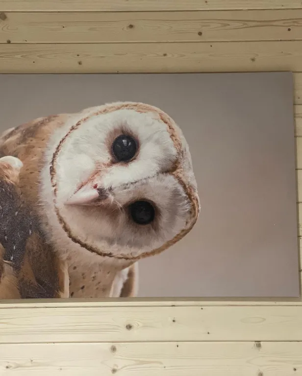 Коттедж 1-комнатный Дом — Архыз