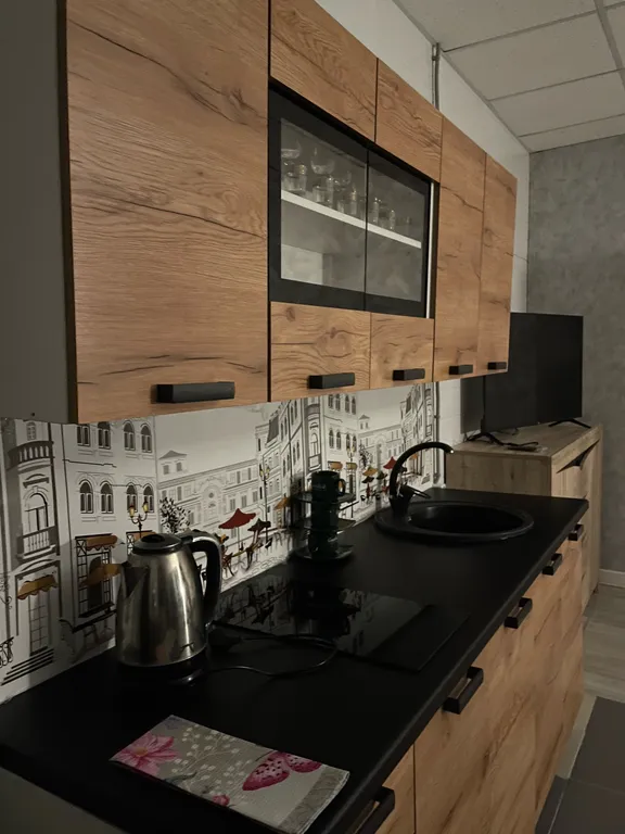 Квартира Квартира- студия (апартаменты) — Новая Ладога