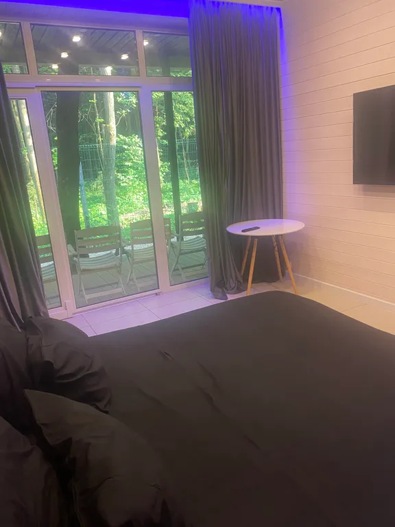 Современный дом в лесу