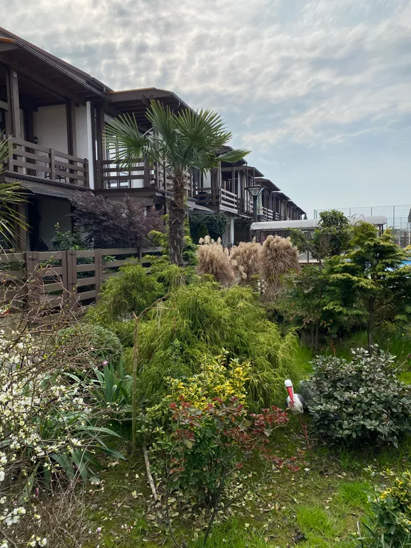 Апартаменты с бассейном Мандарин парк