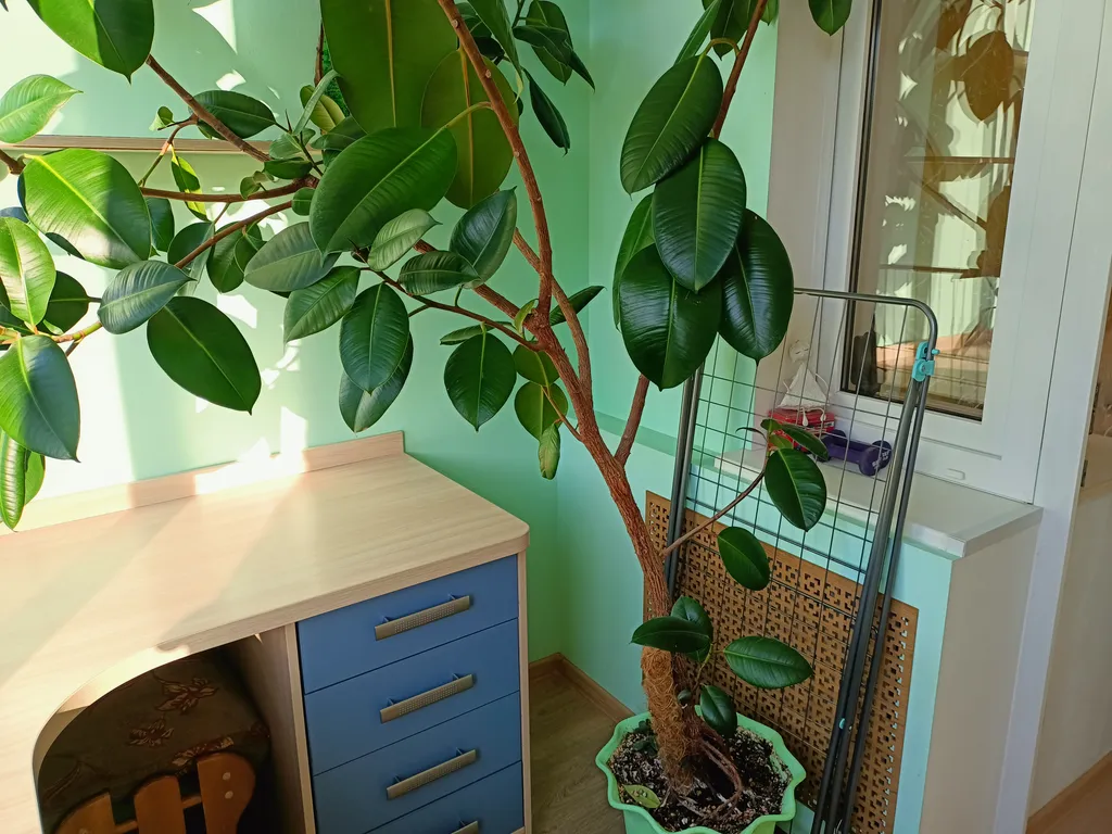 Квартира Просторная полноценная квартира — Геленджик