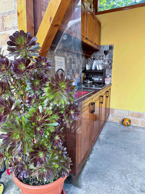 Уютные апартаменты Атмосфера спокойствия