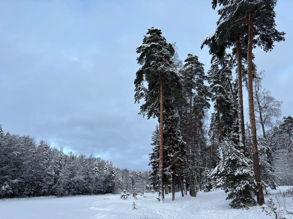 Дача в Заветах Ильича