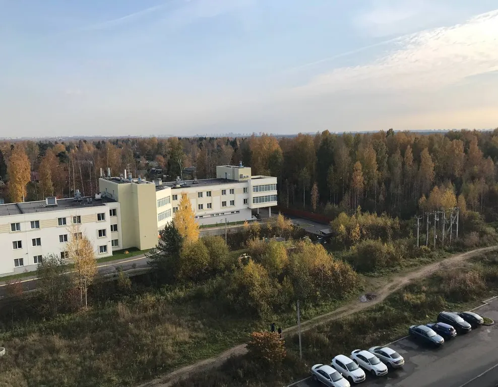 Квартира Квартира рядом с НИИ Петрова/Гранова/Напалкова — Песочный