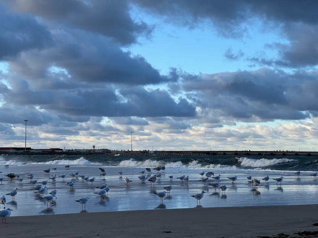 Квартира в ЖК Пионерская лагуна