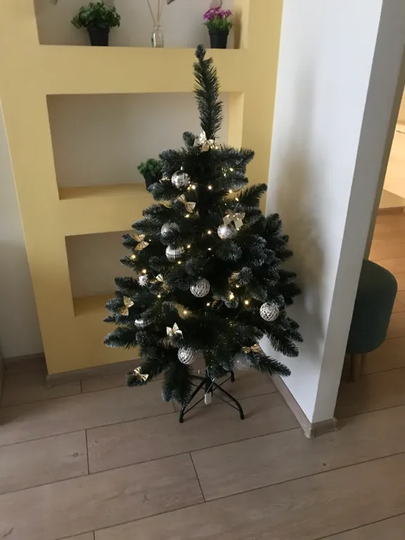 Квартира Уютная квартира в центре — Новосибирск