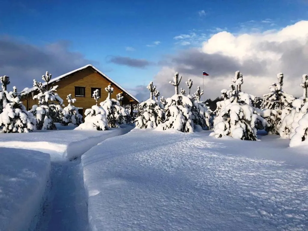Коттедж Коттедж 4 спальни на берегу реки — Лодейное Поле