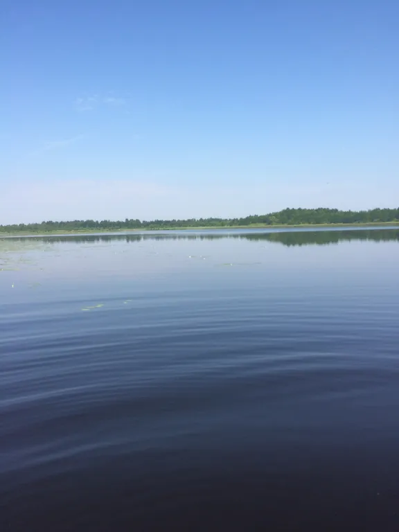 Агроэкоусадьба Отблеск Эдема