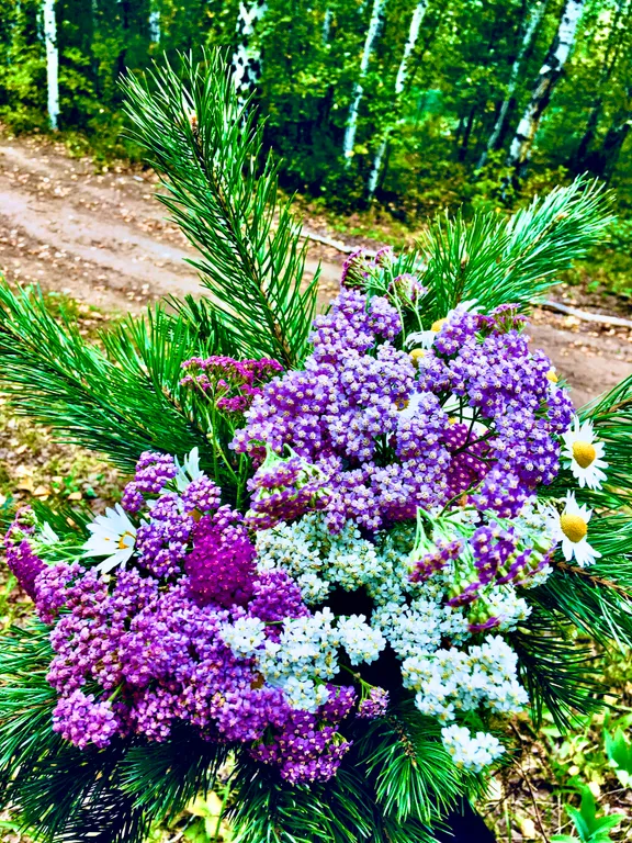 Проживание, отдых, рыбалка на живописном курортном озере Аргази