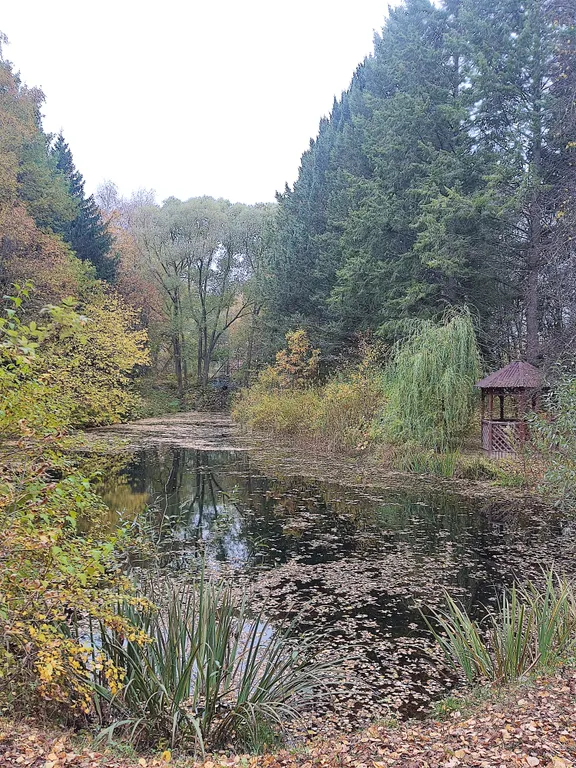 Дом на обочине мира