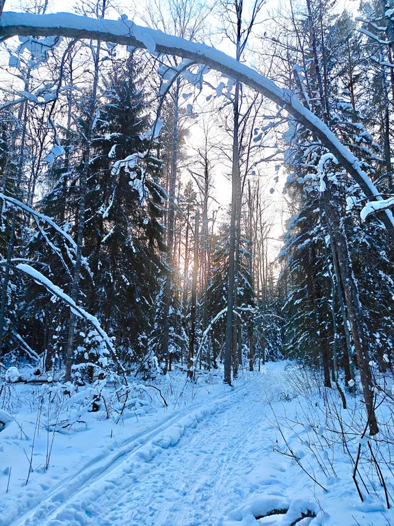 Коттедж Коттедж у леса с сауной — Санкт-Петербург