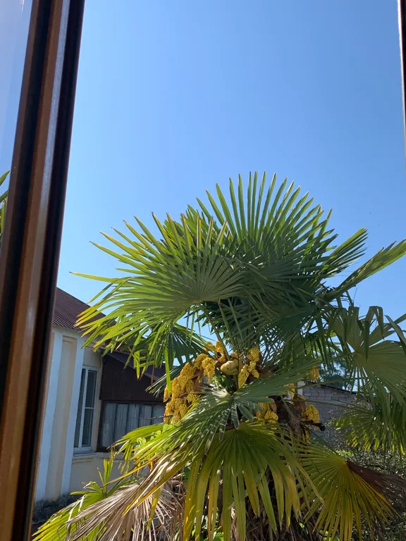 Номер-комната под ключ