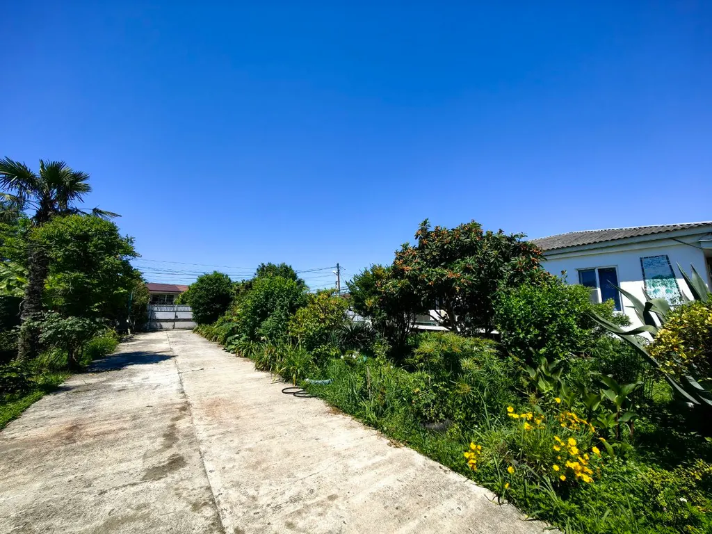 Просторный номер в 5 минутах от моря