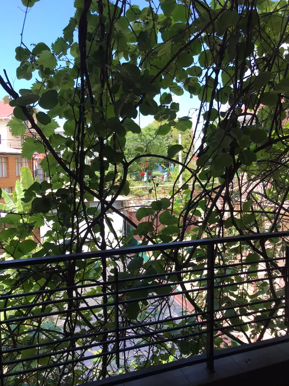 Квартира Квартира Комфортные номера с балконом и со всеми удобствами — Лазаревское