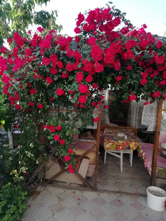 Квартира Комната в частном доме — Феодосия