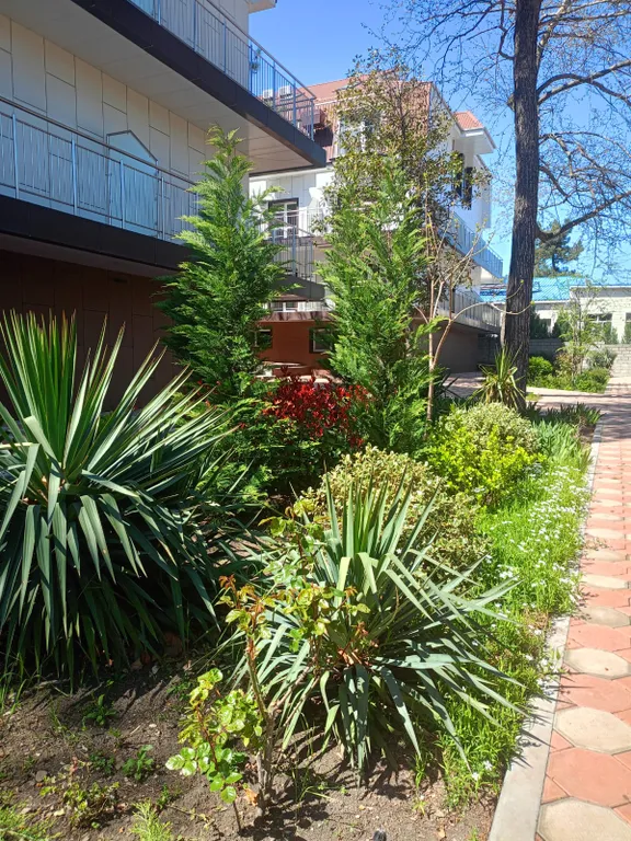 Апартаменты полулюкс софт