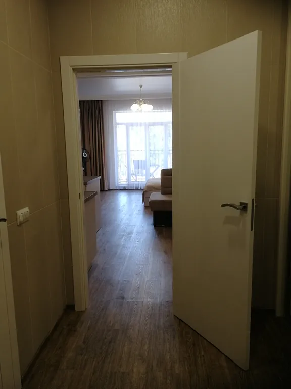 Квартира 1-комнатная Квартира — Светлогорск