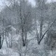 Наталья