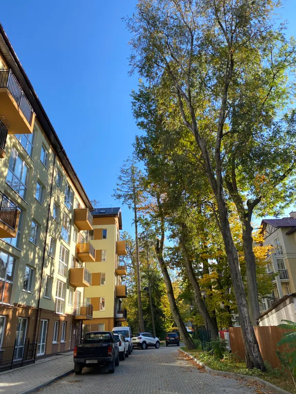 Квартира Квартира на берегу моря — Светлогорск