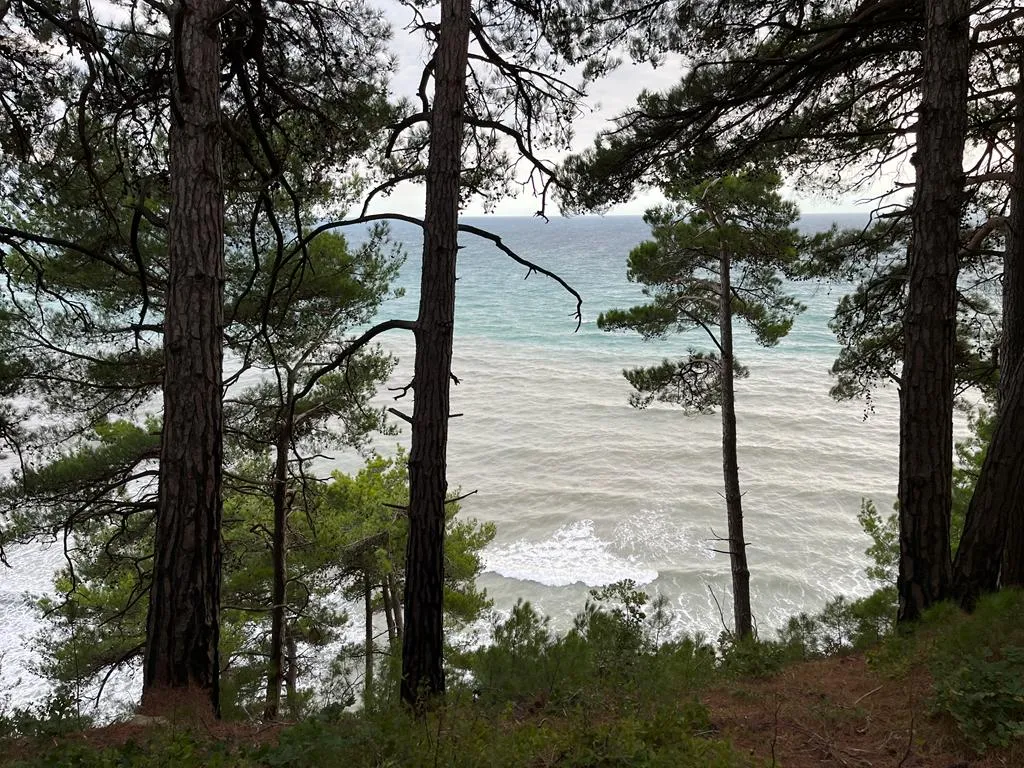 Домик на черном море