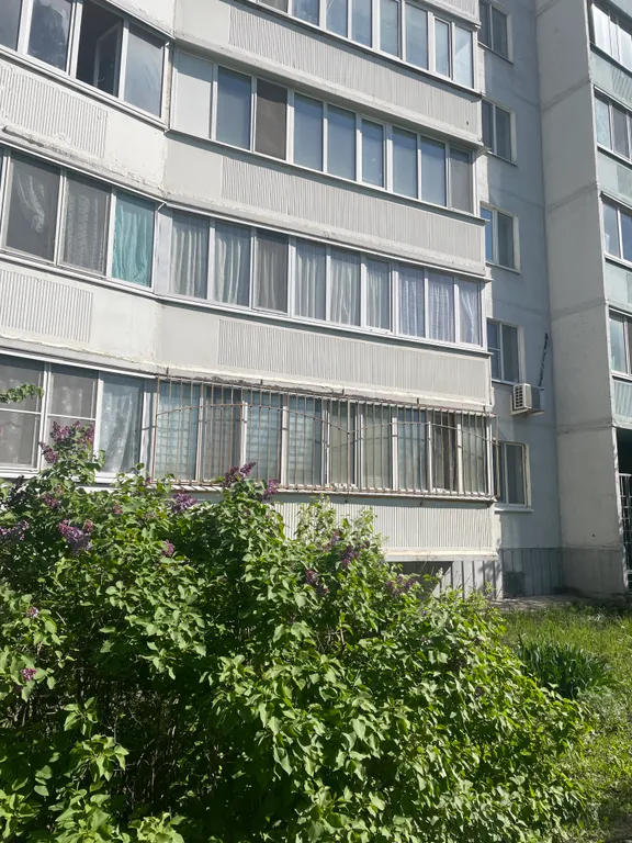 Студия около Ривьеры