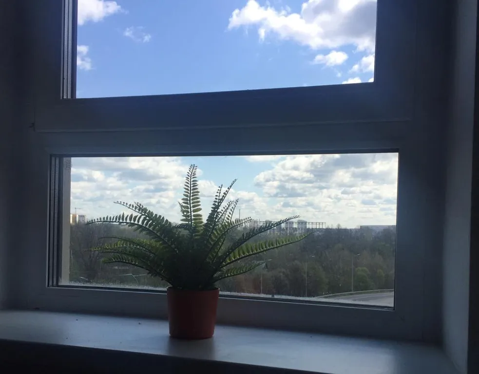 Уютная студия