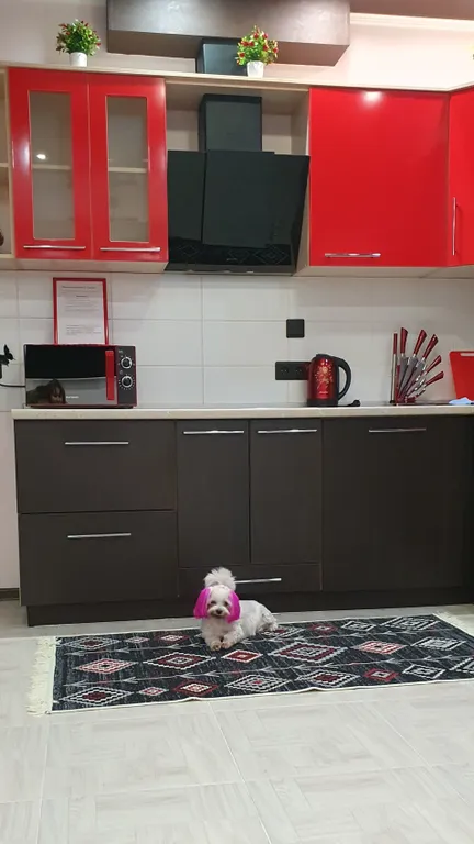 Уютная студия с отдельной спальной зоной, рядом с Иртышом