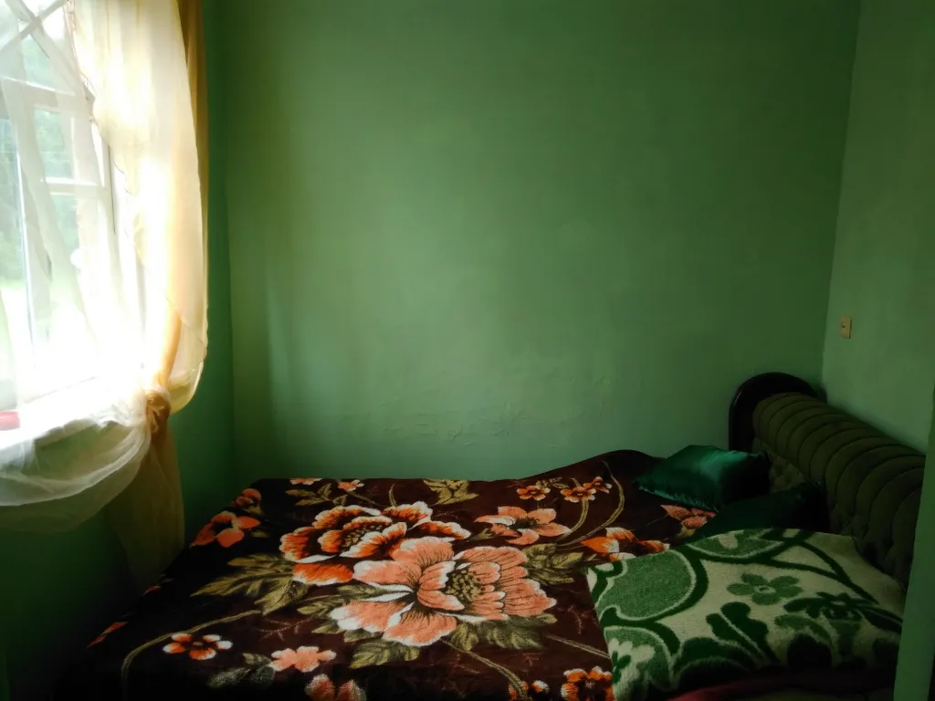 Тихий домик в лесу