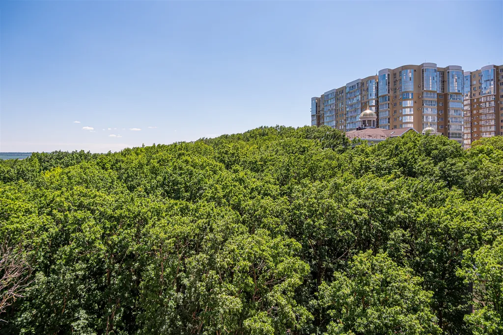 Апартаменты в центре города с видом на парк