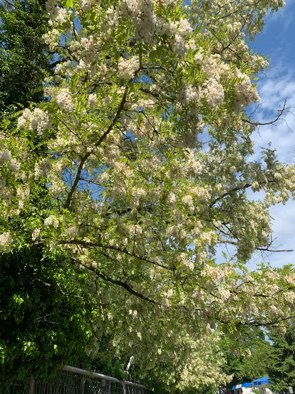 Уютная квартира у моря