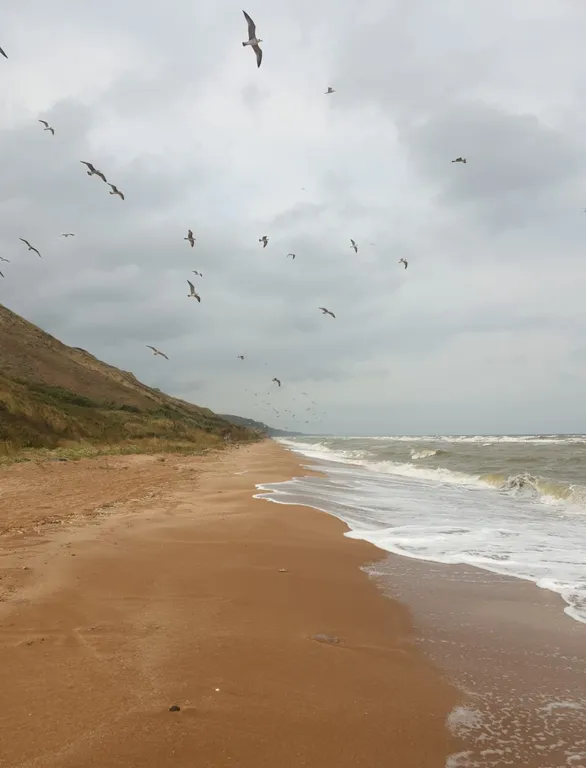 Личный пляж: топ-10 диких мест Краснодарского края